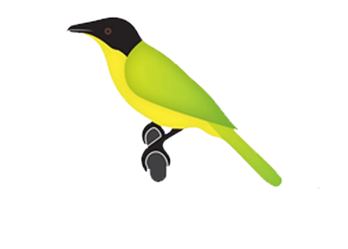Tanzania Birding Official