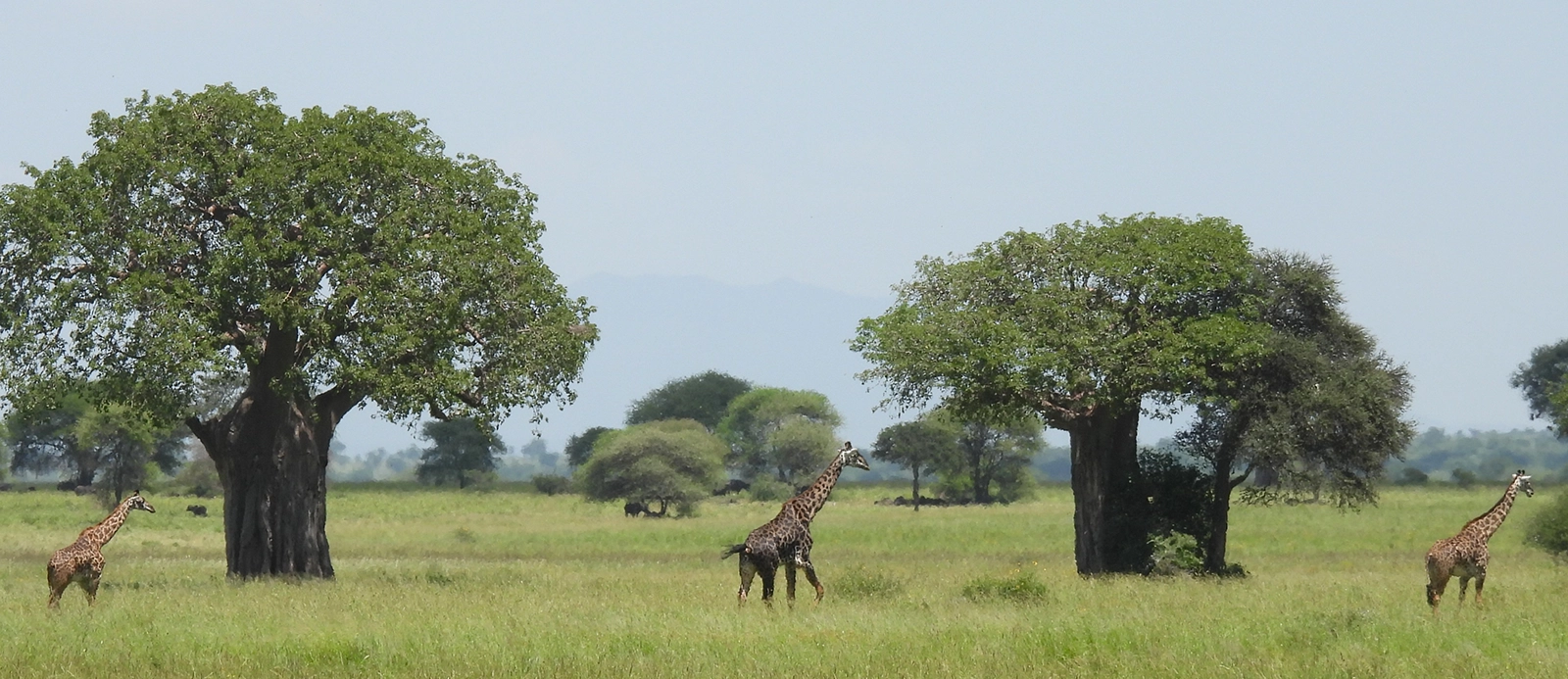 Tanzania Destinations